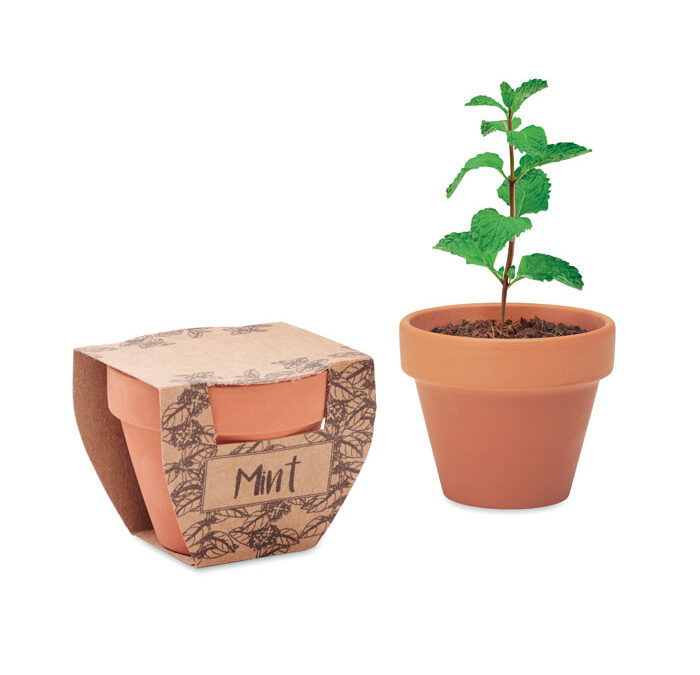 MINT POT