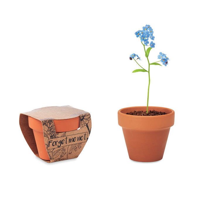 FORGET ME NOT