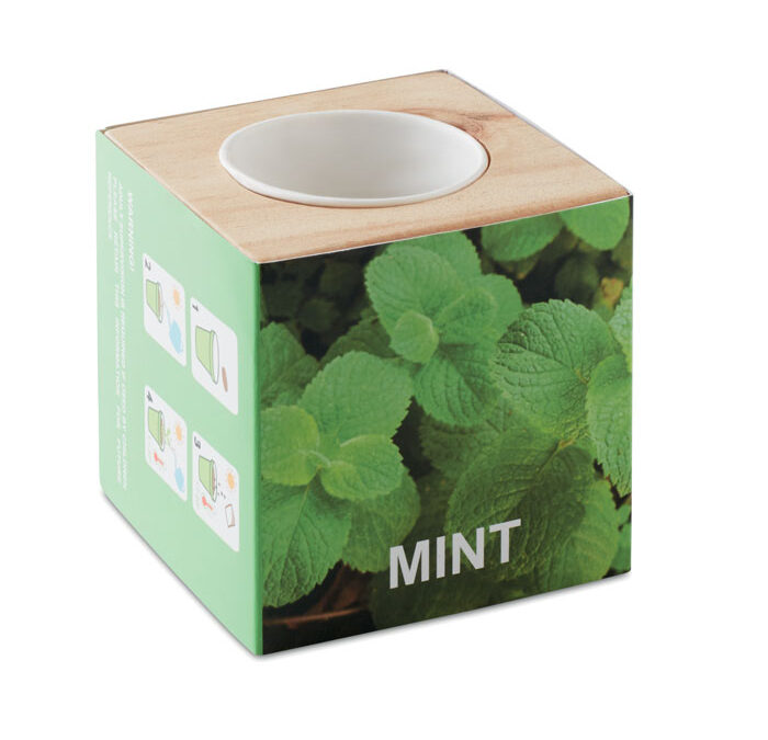 MENTA